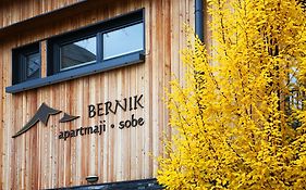 Apartments And Rooms Bernik